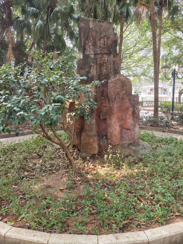 随便在中山公园转转