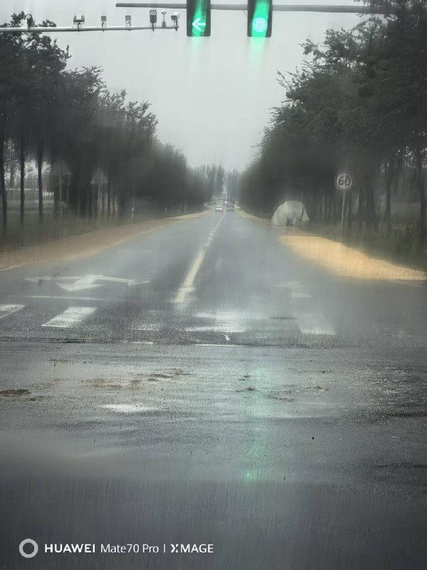 #日常/随记 在雨水中站了那么多天，被抢收上来，还得要在雨水里泡！唉！via 老张随笔
