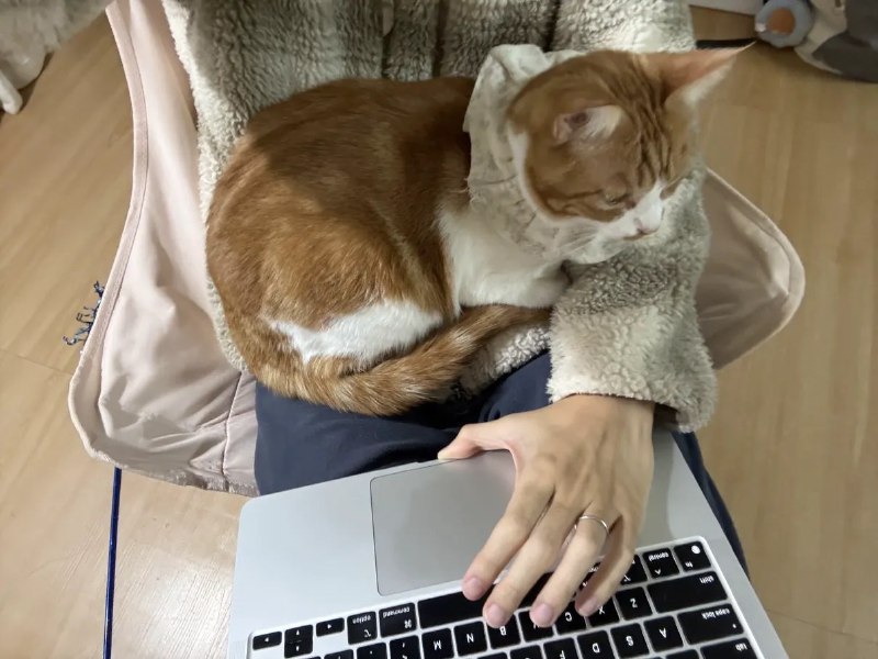 众所周知，冬天身上是会长猫的via VeryJack 碎语