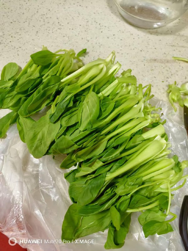 #日常/随记 小青菜还没有长大就拿来卖，美名曰“鸡毛菜”，价格还贵的离谱！via 老张随笔