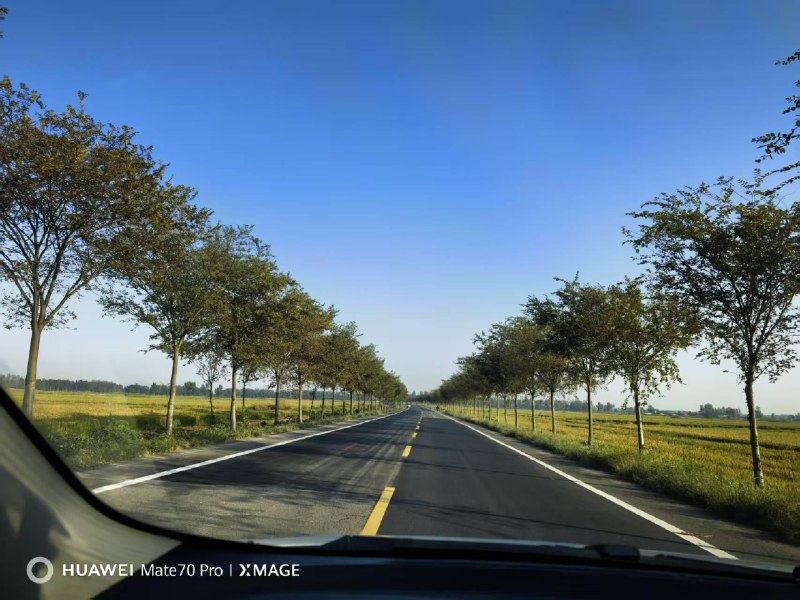 #折腾 请claude写了个Typecho插件，同步内容到Memos的，不到半个小时搞定！人人都是程序袁了！via 老张随笔