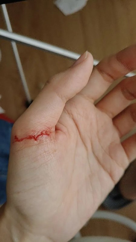 小黄自己玩玩具，不知道怎么搞的把自己缠起来、倒吊起来了，发出杀猪般的叫声